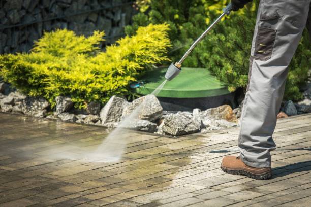 Best Driveway Pressure Washing  in Dorneyville, PA