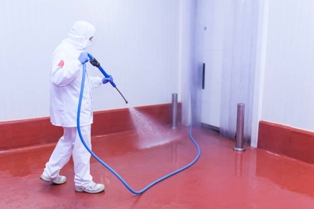 Best Oil Spill Cleanup  in Dorneyville, PA