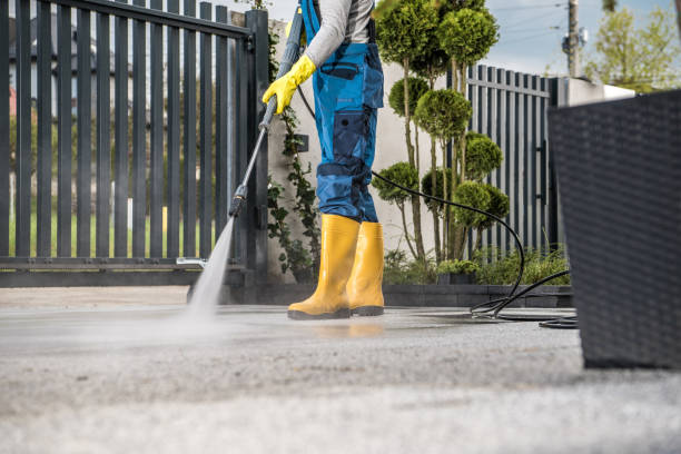 Best Roof Washing  in Dorneyville, PA